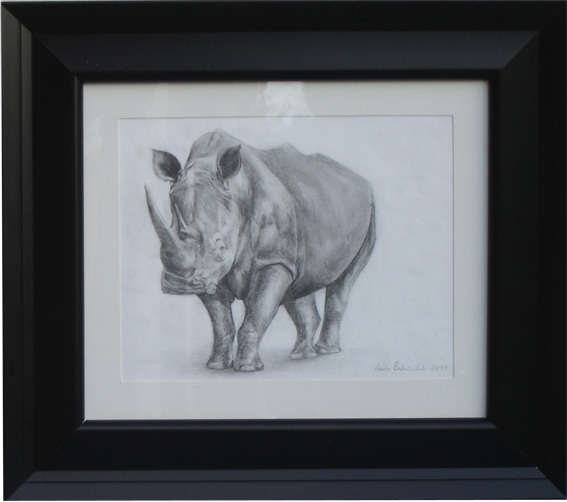 Lonely Rhino (framed)